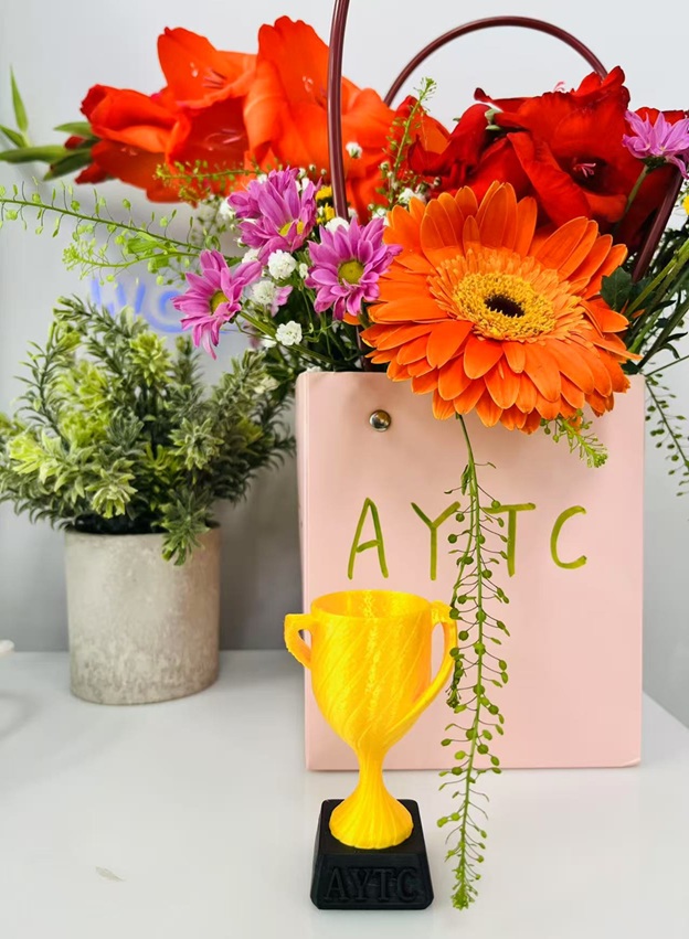 喜讯！AYTC 首届夏令营成功结营