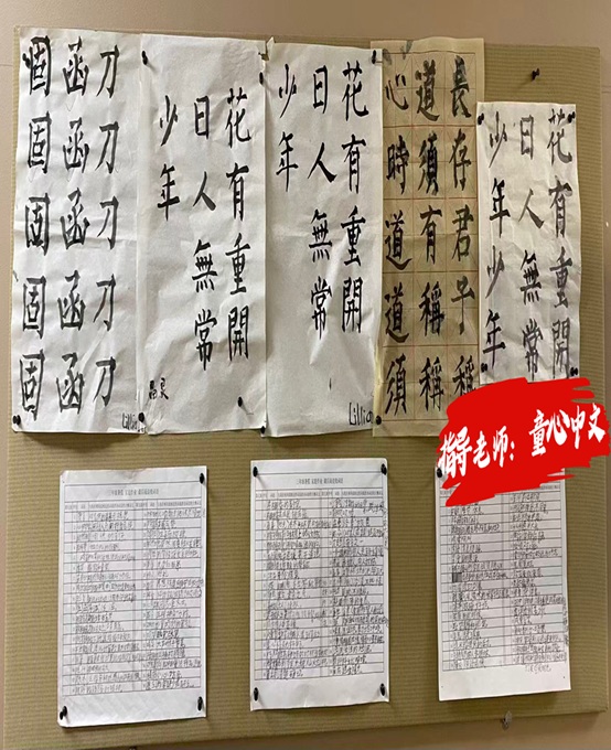 AYTC首届夏令营正式开放报名 - Photo 10